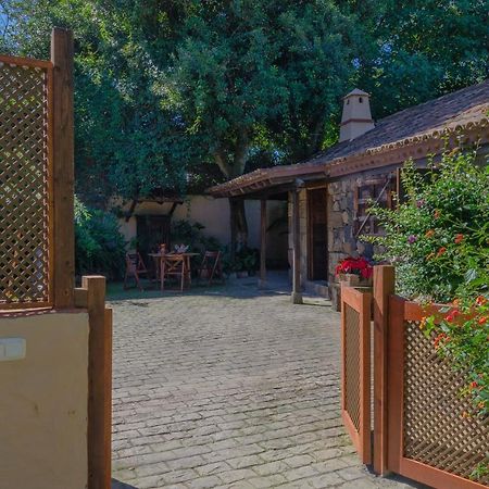 Rincon De Los Abanes - Finca Casa Jardin-Vv لا لاغونا المظهر الخارجي الصورة