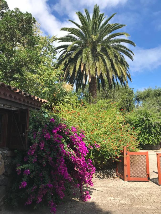 Rincon De Los Abanes - Finca Casa Jardin-Vv لا لاغونا المظهر الخارجي الصورة